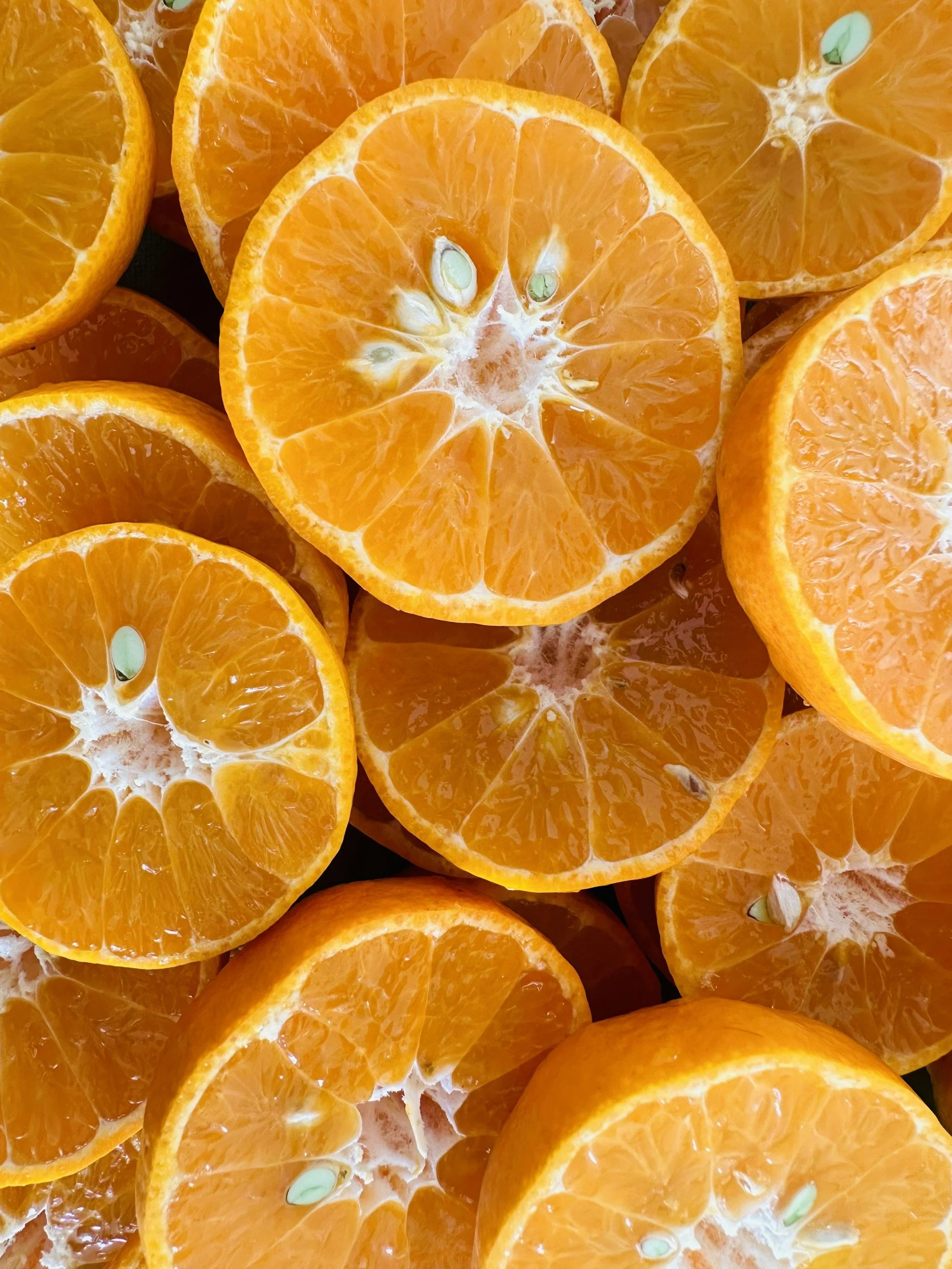 Myers&rsquo; Cocktail Micronutrient Therapy